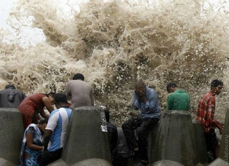 1224760695 308 FT848 17134951 