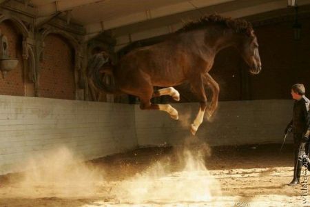 1224760695 308 FT848 17725628 