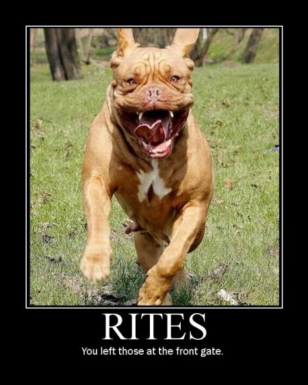 1238184640 102 FT848 Mcmpotivator8076567 