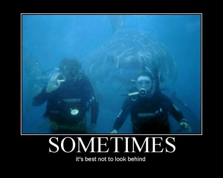 1248342285 102 FT65907 Mp Mc02122132 