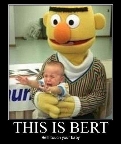 1249637992 308 FT65907 Bert