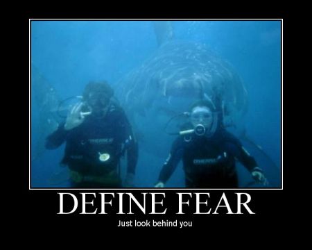 1251280326 102 FT65907 Mp Mc01010 