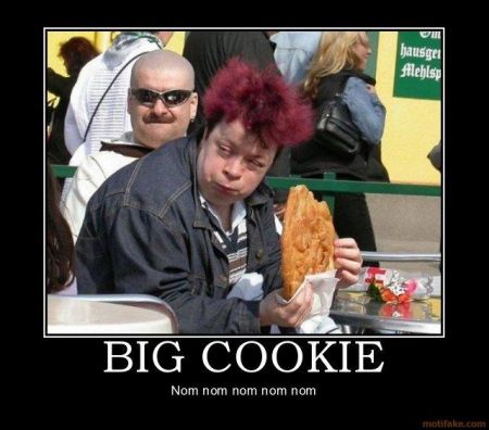 1255098605 308 FT65907 Big Cookie 