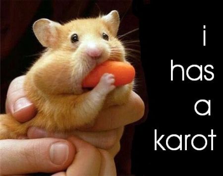 1312548254 308 FT848 Hamstercarrot 