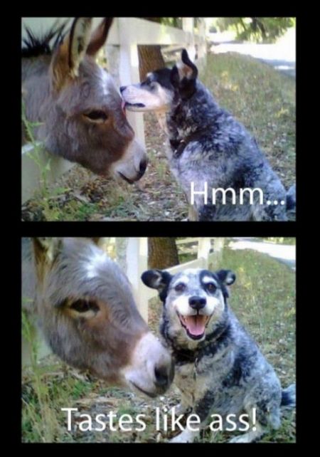 1312958683 7 FT848 9u4y4 