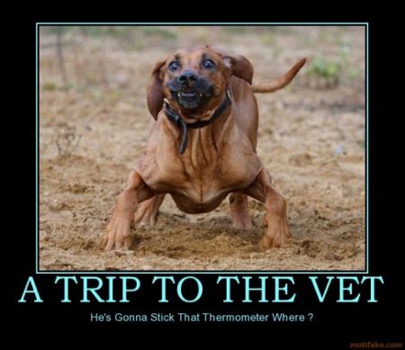 1313993195 7 FT848 12 