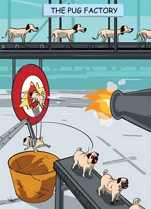 1320248765 167 FT848 Damnthatswhack