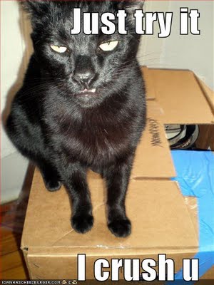 1321273471 7 FT848 Kittylolcat