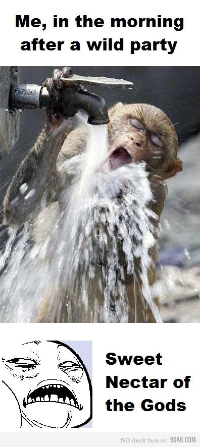 1328608360 7 FT848 1044033 460s