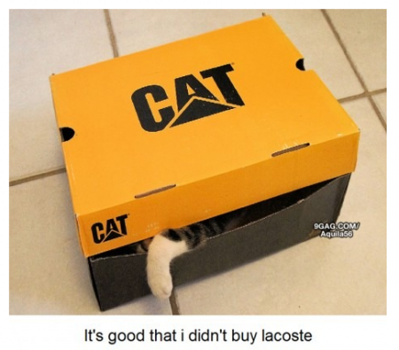 1330425030 308 FT848 Img 24022012 105904 