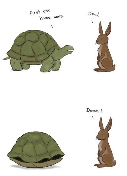 1331896194 308 FT848 Img 14032012 082119